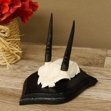 Steinböckchen Antilope