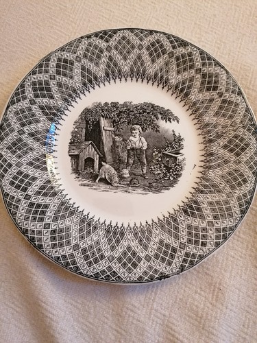 Teller villeroy boch - villeroy,