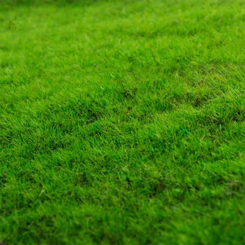 Künstlicher gras rasen - rasen, matte