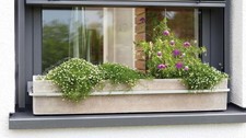 Balkonkasten Blumenkasten
