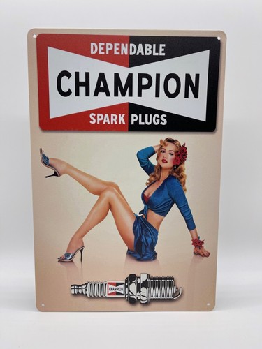 Blechschild champion 20x30cm - blechschild,