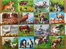 # GLANZBILDER #  Großbogen