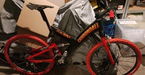 Retro cannondale raven carbon - retro,