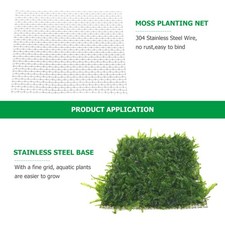 Aquarium Java Moos Java Moos Moss Aquarium Moos Pad Garnelen Moos