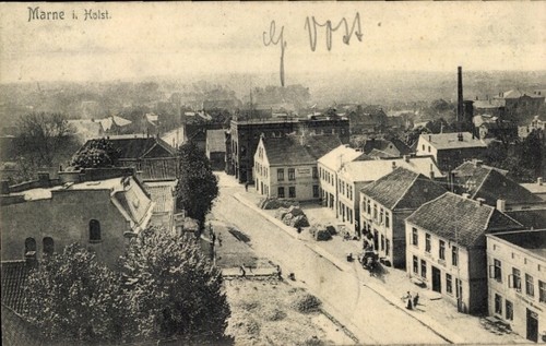Marne holstein - in,