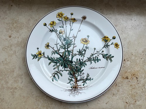Villeroy boch botanica - &,