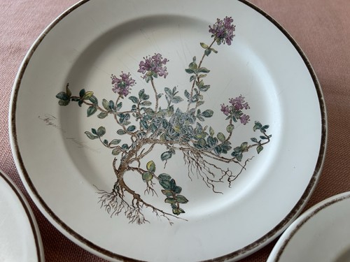 Villeroy boch botanica 4 - botanica,,