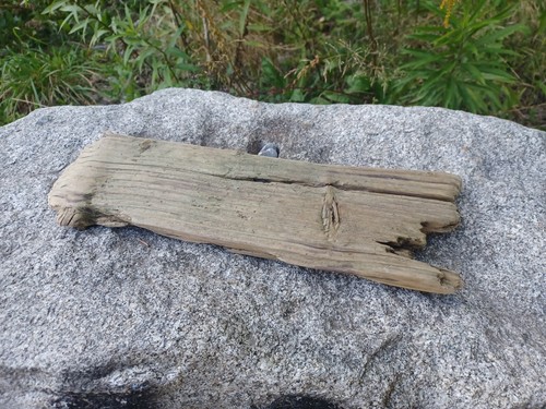Treibholz brett schwemm - treibholz, holz