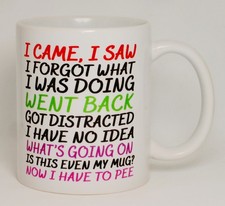 I Came I Saw I Forgot lustiges unhöfliches Geschenk Tee Kaffee Oma Geschenk personalisiert