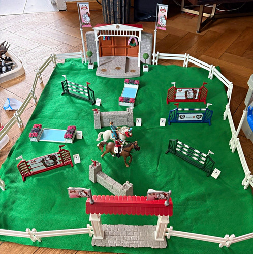 Horse club reitturnier - horse,