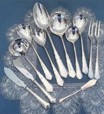 12 Traumhafte versilberte