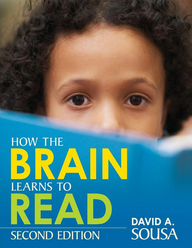 How the brain learns - how, to