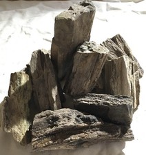 Versteinertes Holz 10 Stück