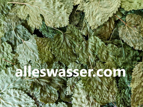 Maulbeerblätter bio - maulbeerblätter,