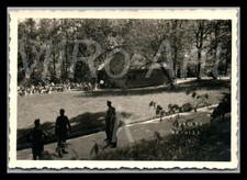 Foto WK2 Nachl. Th.Lampel