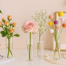 12er  Zylinder Vase Glas