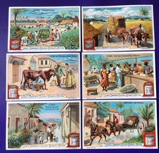 6 Sammelbilder Liebig 1899 komplette Serie 432 (585) KUBA CUBA