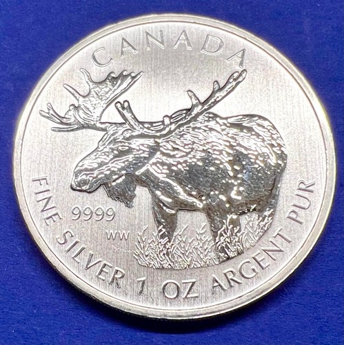 1oz maple leaf - -, 5