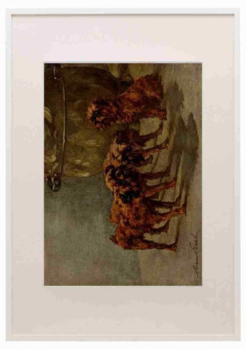Graf maud 1864 1943 - graf,