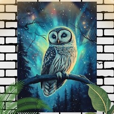 Eule mit Nordlicht Poster