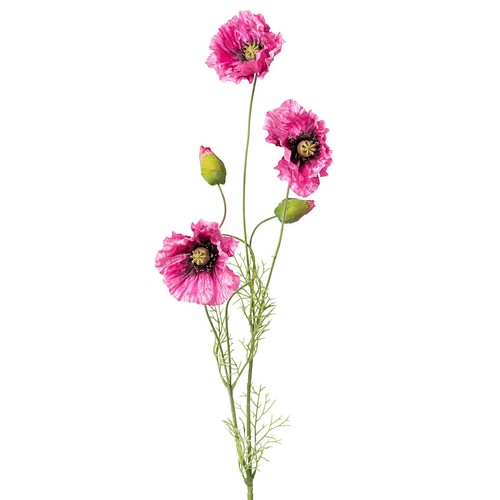 Gasper mohn pink mit - mohn,