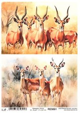 Reispapier A4 Strohseide