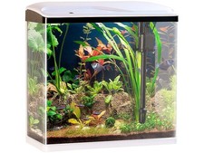 Sweetypet Nano-Aquarium-Komplett-Set mit LED-Beleuchtung, Pumpe & Filter, 40 l
