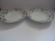 Hutschenreuther Maria Theresia Papillon Suppenteller  D 23 H 4,5   2 Stück