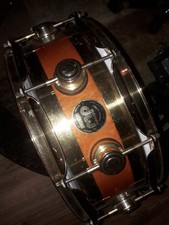 DW Collectors Edge Exotic 14x5