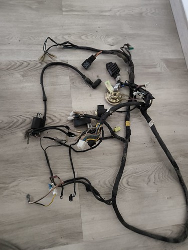 Tgb pegasus corona 50ccm - tgb,