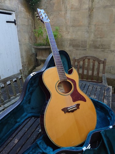 Washburn ea27 greg allman - greg,