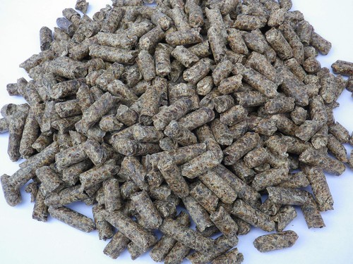 Melassepellets