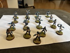 Elfen Blood Bowl Team