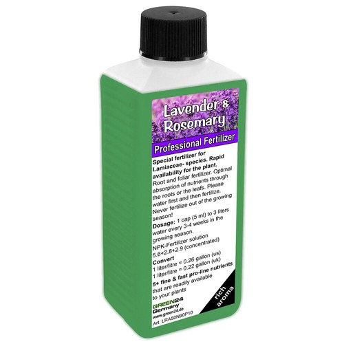 Lavender rosemary - rosemary,