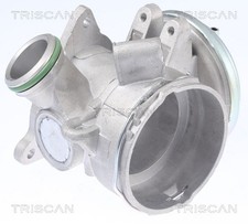 AGR Ventil TRISCAN 8813 23032