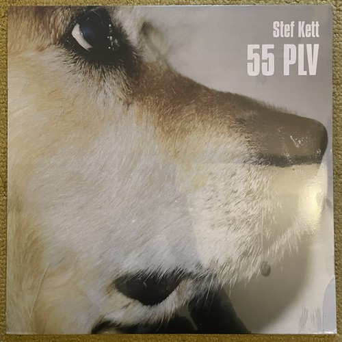 Stef kett plv - plv, in