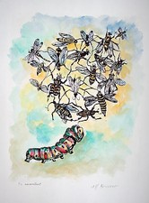 Schmetterlings-Raupe Bienen  Michaela Krinner 1915-2006 Aquarell Radierung 1985