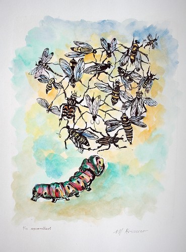 Schmetterlings raupe bienen - schmetterlings-raupe,