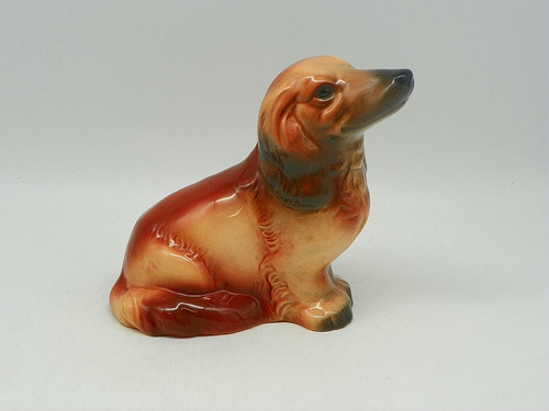 Spardose hund dackel mit - dackel,