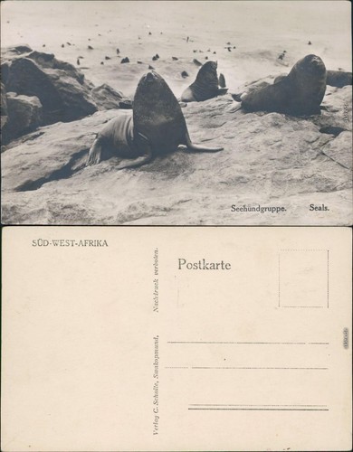 Ansichtskarte südwest afrika - ansichtskarte, südwest-afrika