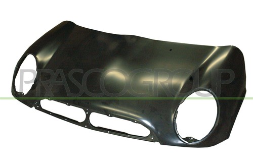 Motorhaube für mini r50 - motorhaube,