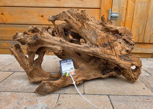 Mangroven wurzel 50x24x28cm - mangroven,