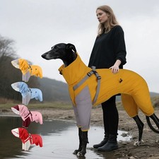 Hunde regenmantel wasserdicht - regenmantel,