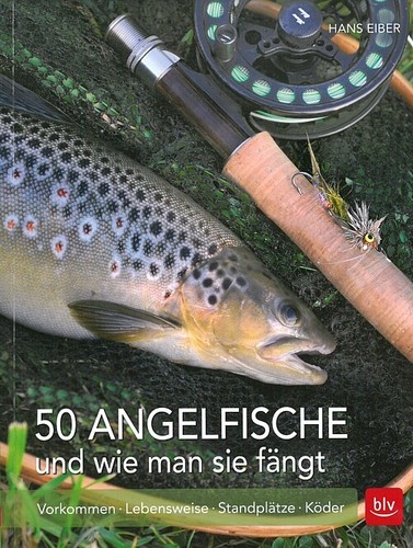 Eiber angelfische und wie - eiber:,