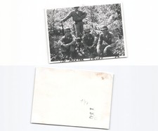 (n782440)   amerikanische