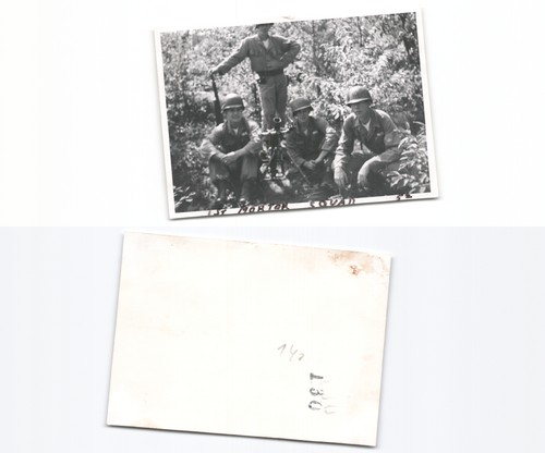 Amerikanische - (n782440),