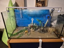 Aquarium Mit Zubehör Und Deko