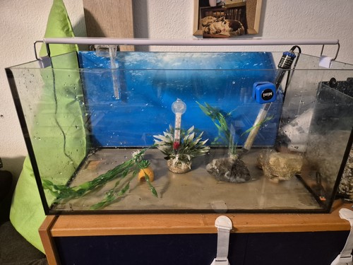 Aquarium mit zubehör und deko - zubehör,