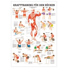 Anatomisches Mini-Poster "Krafttraining Rücken", LxB 34x24 cm