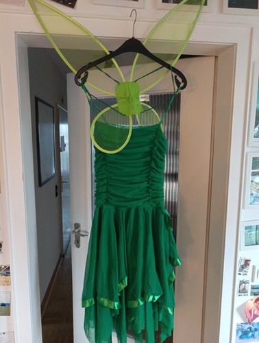 Feenkostüm grünes kleid - feenkostüm,